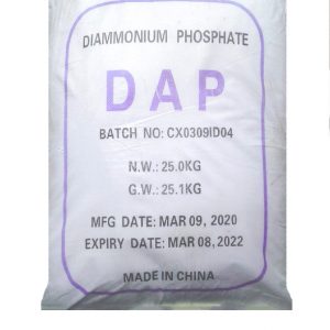 DIAMMONIUM POSPHATE /DAP